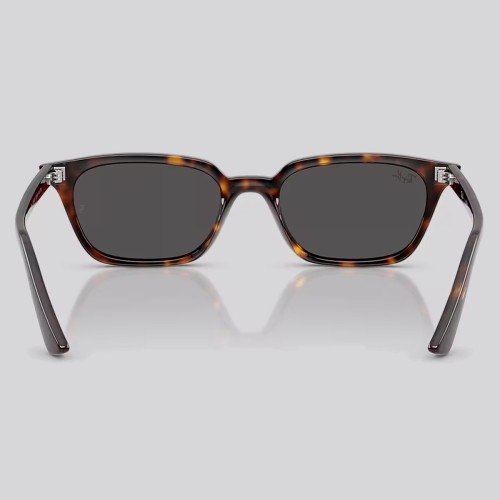 THELAB_RAY0RB44568753_VIEW4.jpg